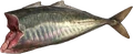 Filete de caballa en DayZ - Valores nutricionales y energía